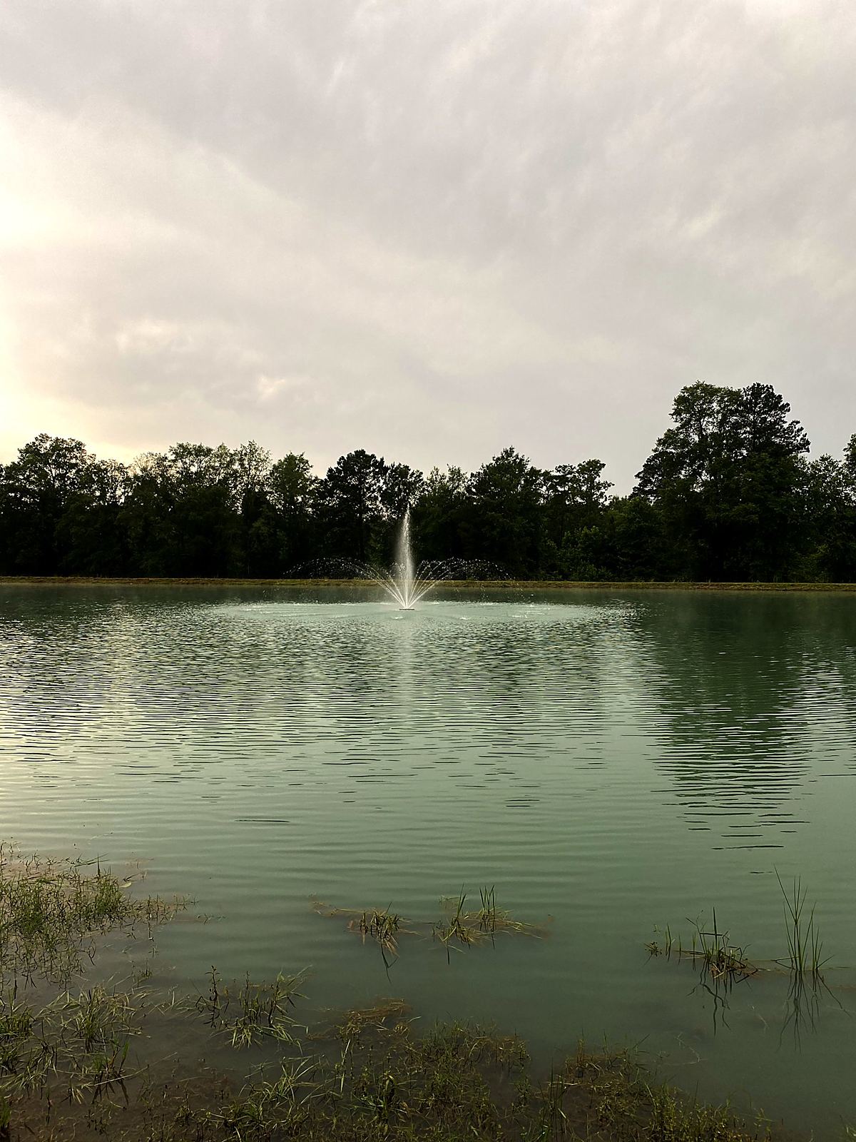 Finished pond with a fountain